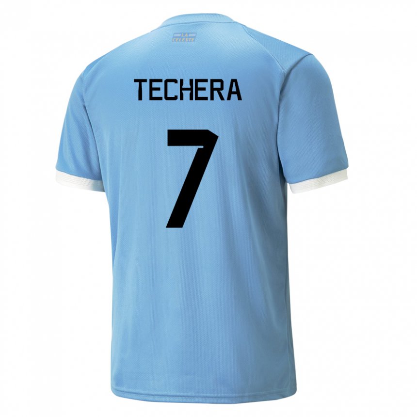 Férfi Uruguayi Facundo Techera #7 Kék Hazai Jersey 22-24 Mez Póló Ing