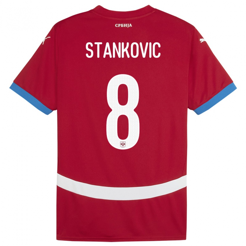 Gyermek Szerbia Nikola Stankovic #8 Piros Hazai Jersey 24-26 Mez Póló Ing