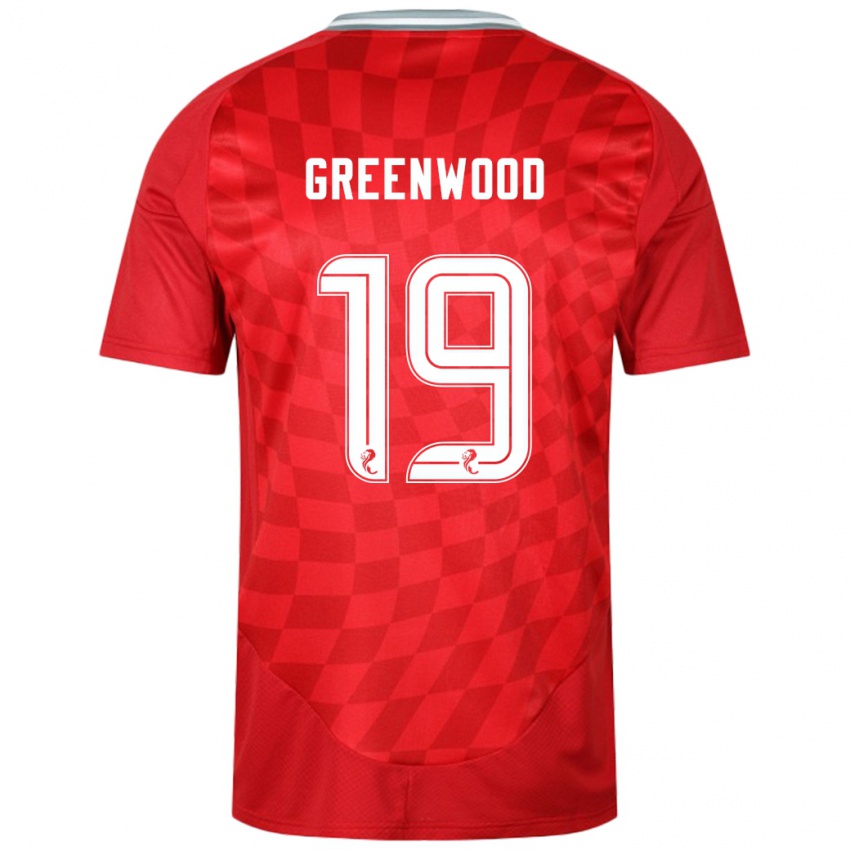 Férfi Brodie Greenwood #19 Piros Hazai Jersey 2024/25 Mez Póló Ing